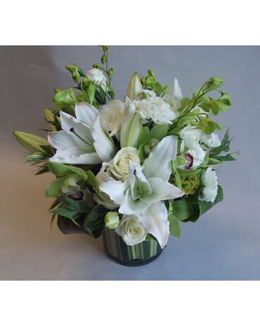 Lovely size, inches height and inches wide.